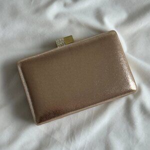 Nina Metallic Clutch/Evening Bag with Chain Strap